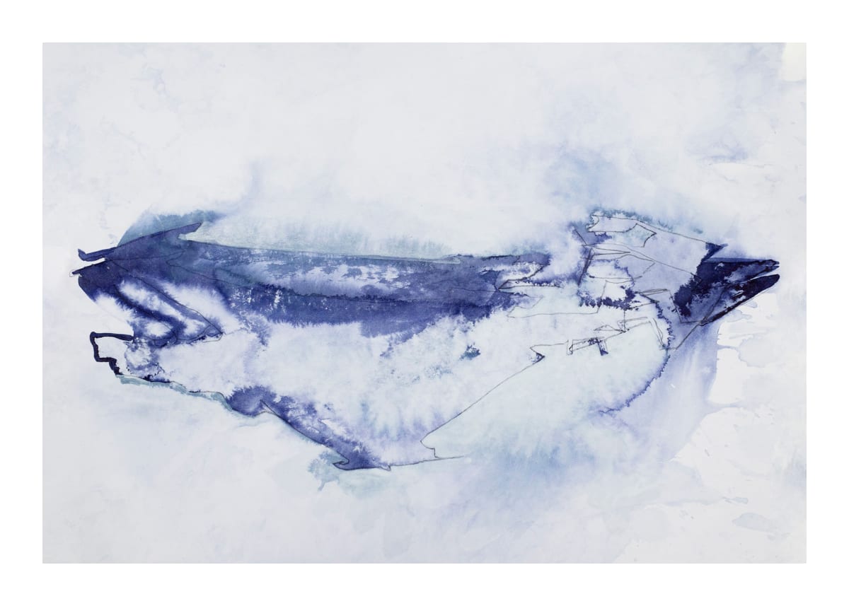variant-50x70_with-margin