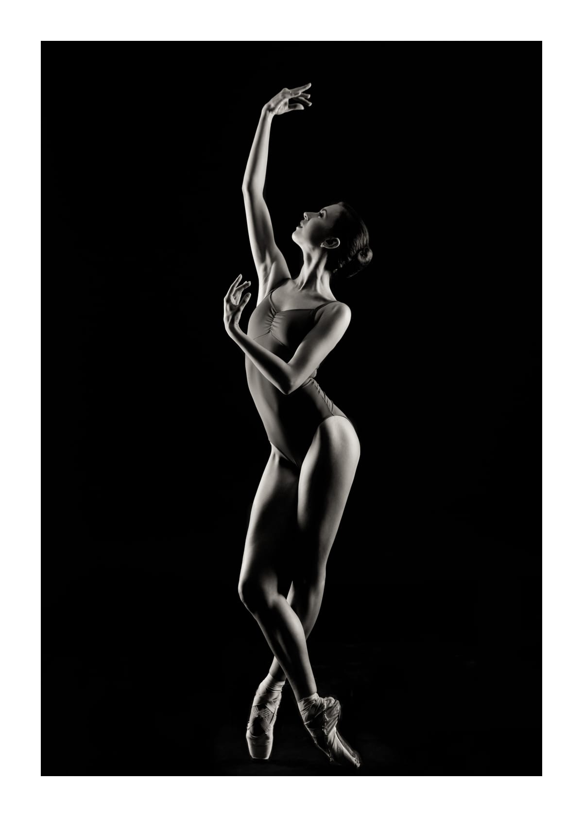 variant-50x70_with-margin