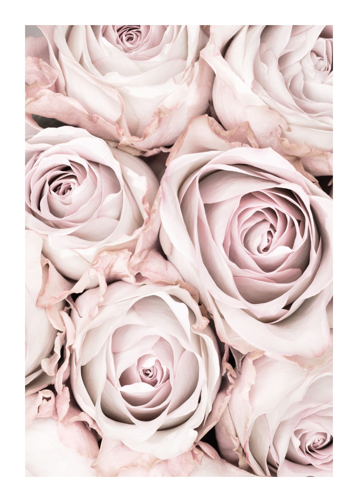 variant-50x70_with-margin