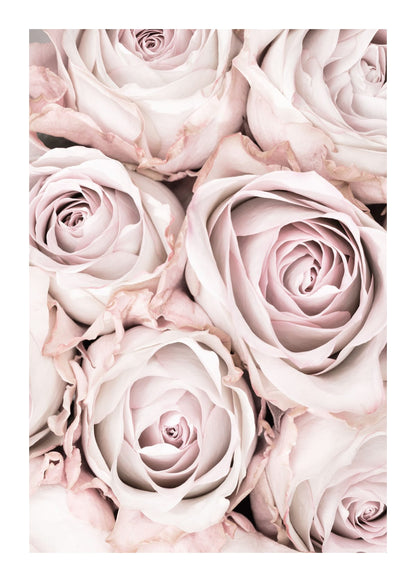 variant-50x70_with-margin