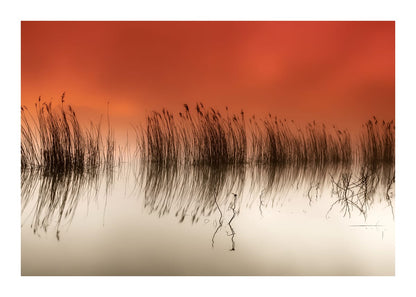 variant-50x70_with-margin
