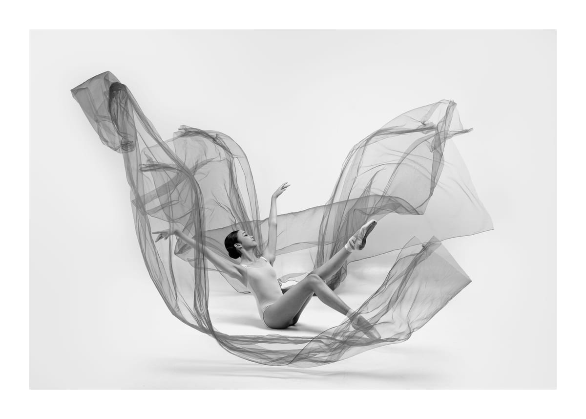 variant-50x70_with-margin