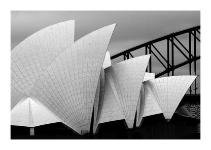 variant-50x70_with-margin