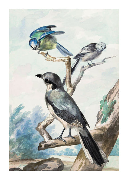 variant-50x70_with-margin