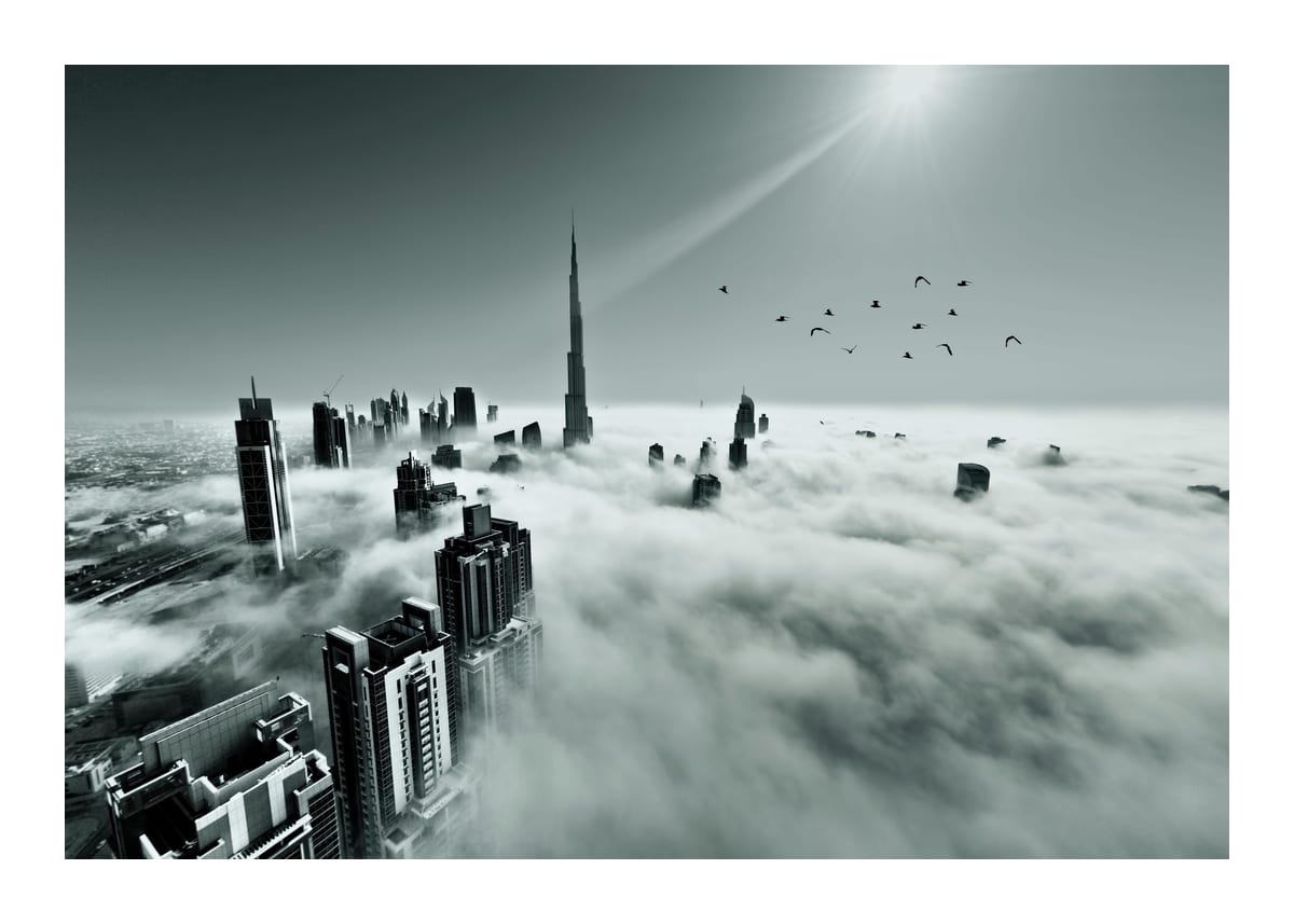 variant-50x70_with-margin