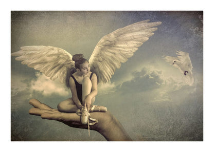 variant-50x70_with-margin