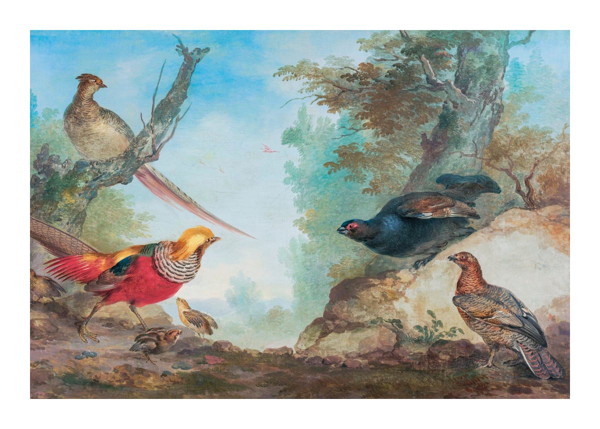 variant-50x70_with-margin
