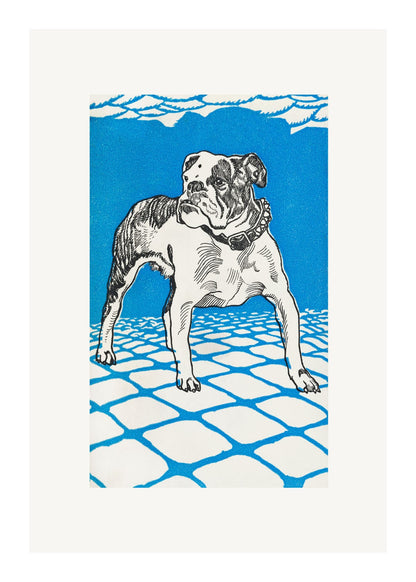 variant-50x70_with-margin