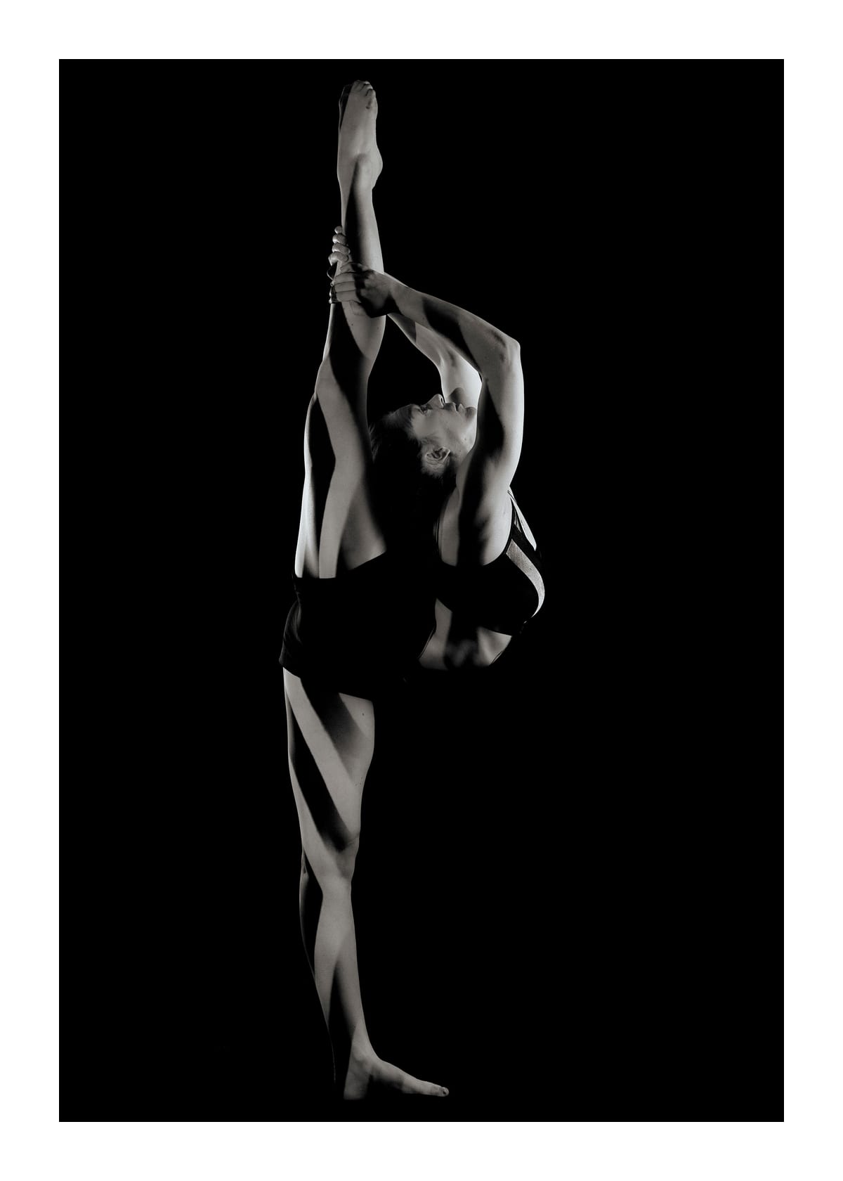 variant-50x70_with-margin