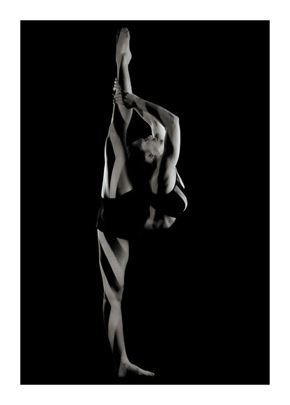 variant-50x70_with-margin
