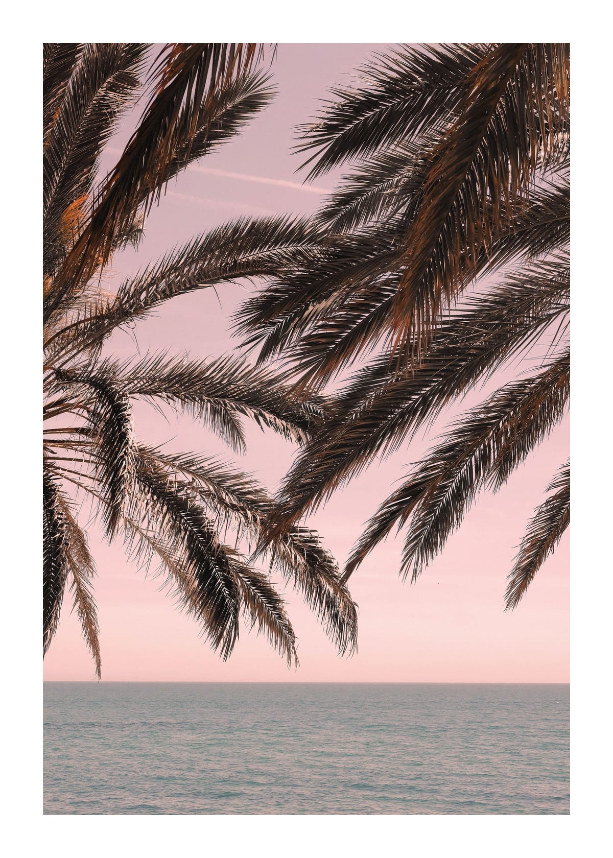 variant-50x70_with-margin