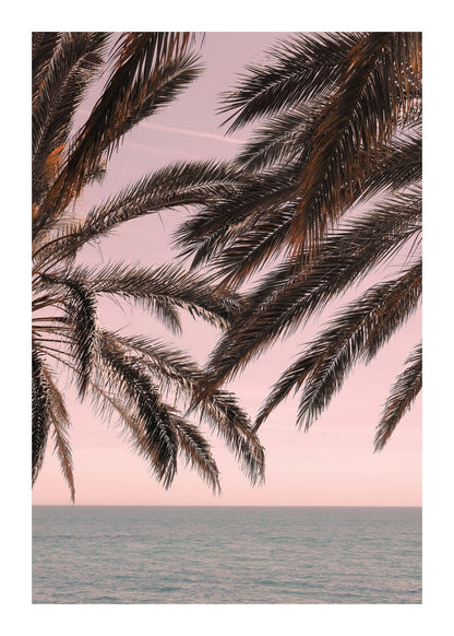 variant-50x70_with-margin
