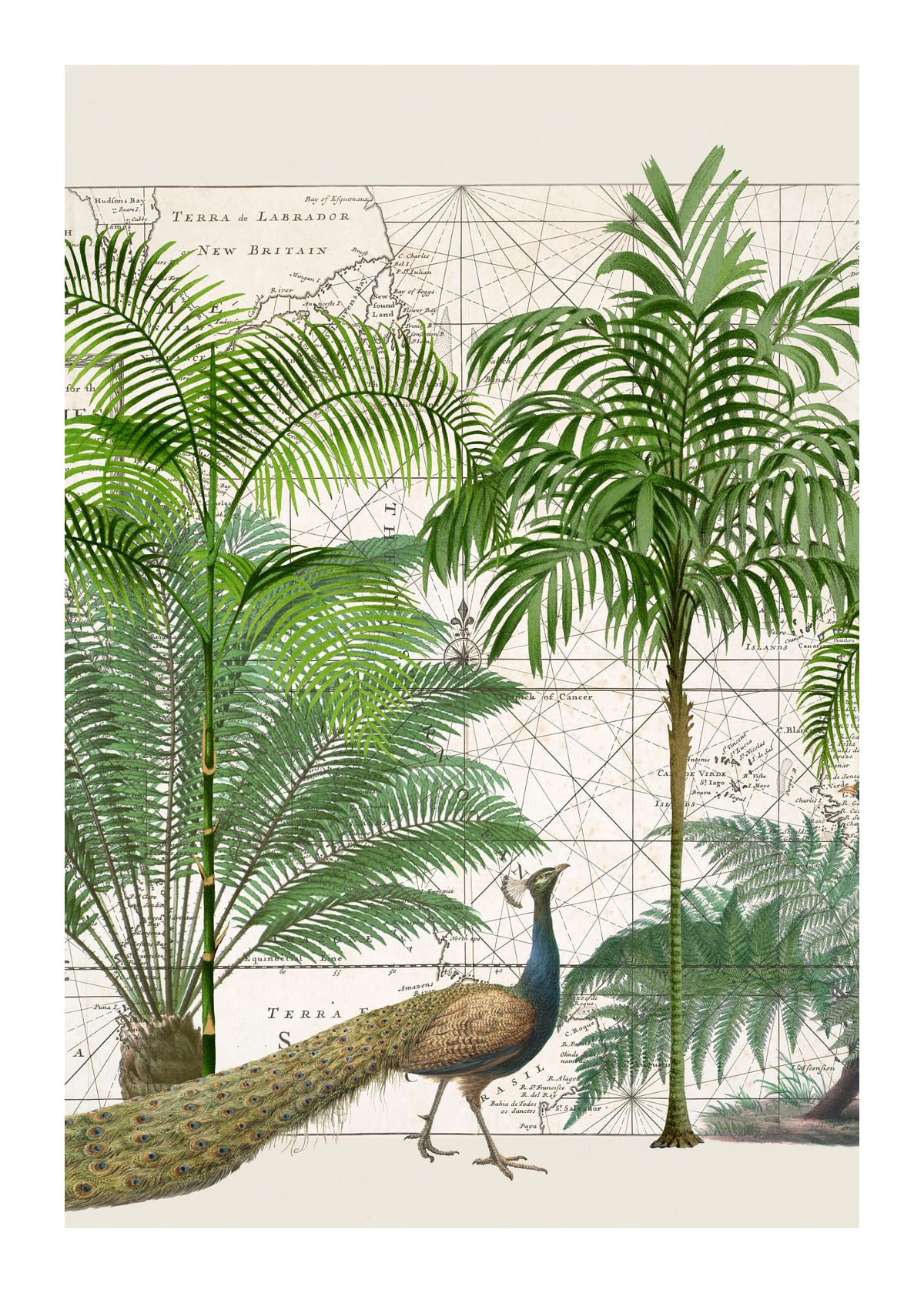 variant-50x70_with-margin