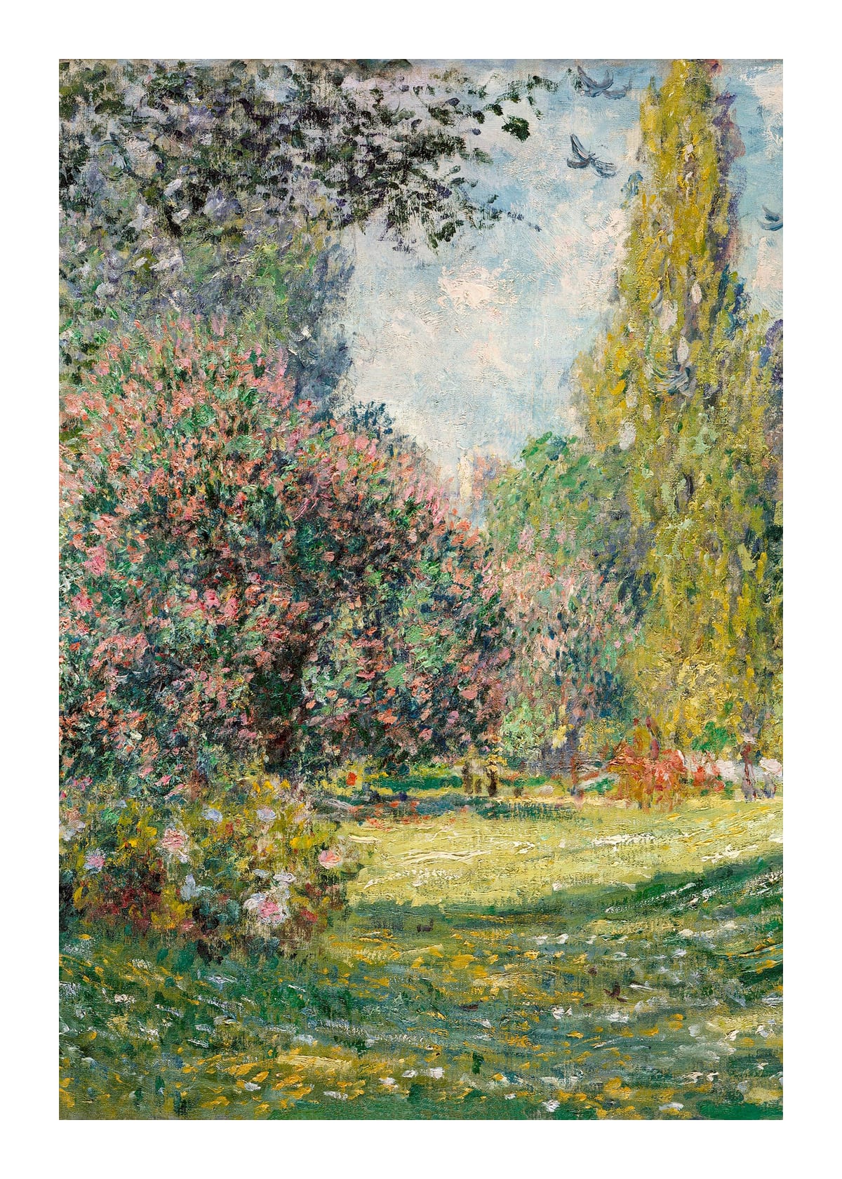 variant-50x70_with-margin