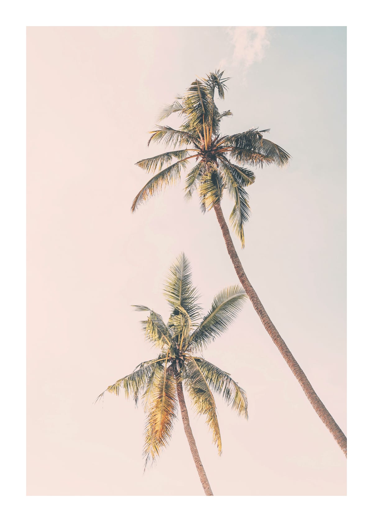 variant-50x70_with-margin