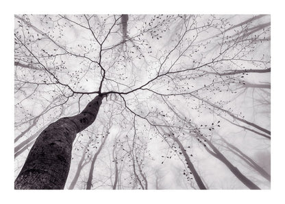 variant-50x70_with-margin