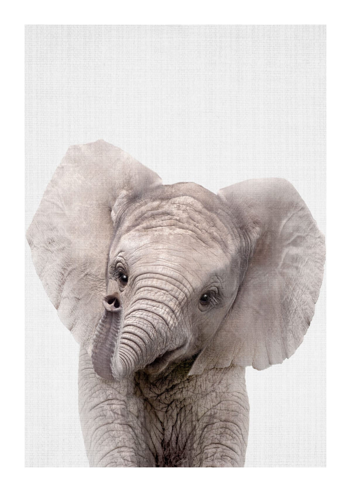 variant-50x70_with-margin