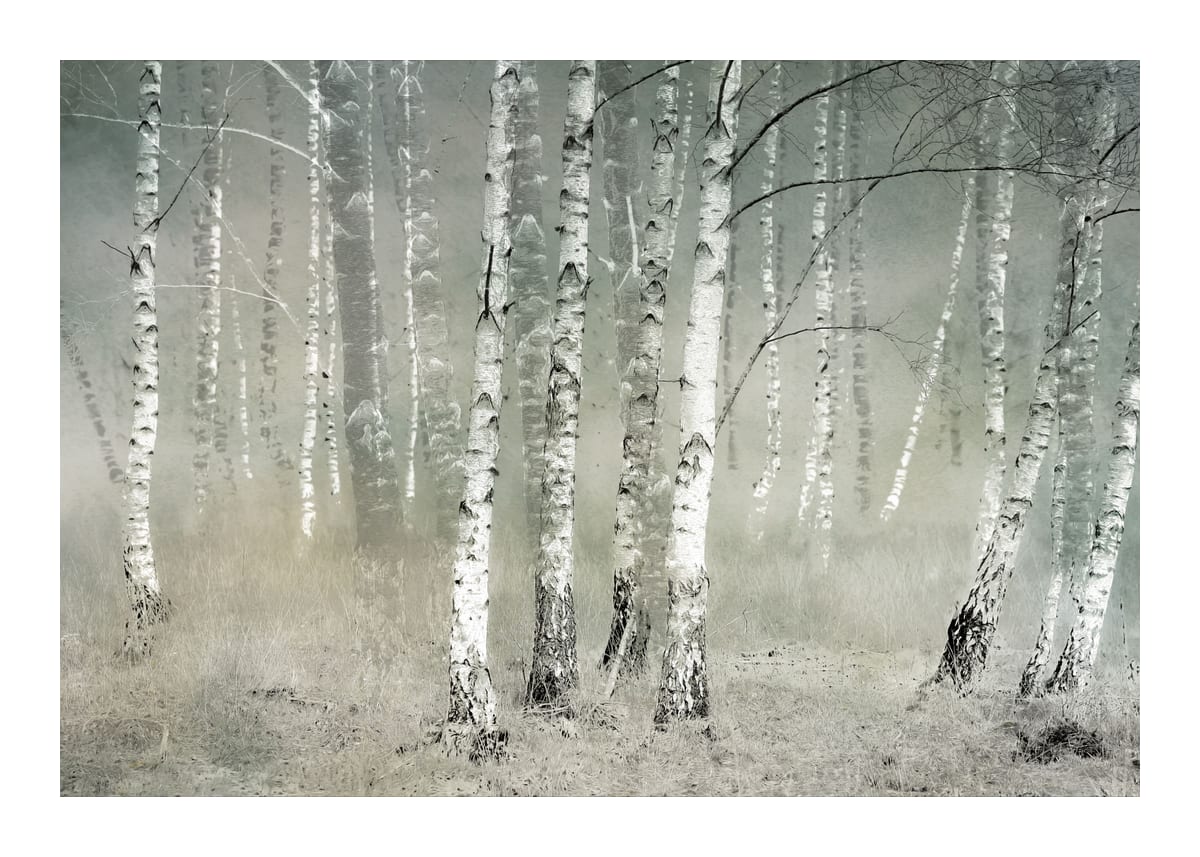 variant-50x70_with-margin