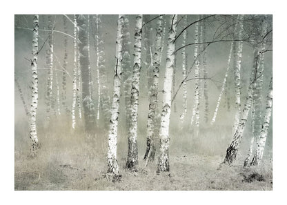 variant-50x70_with-margin