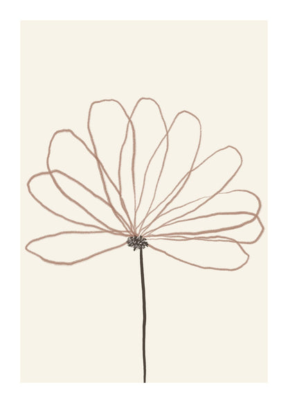 variant-50x70_with-margin