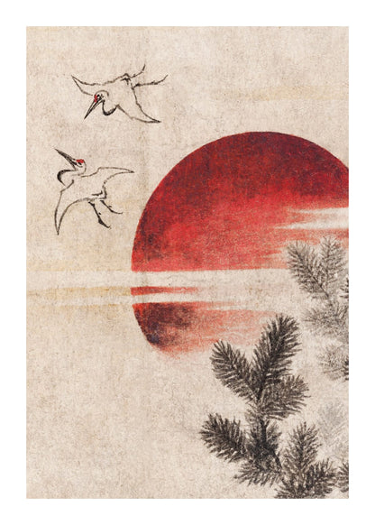 variant-50x70_with-margin