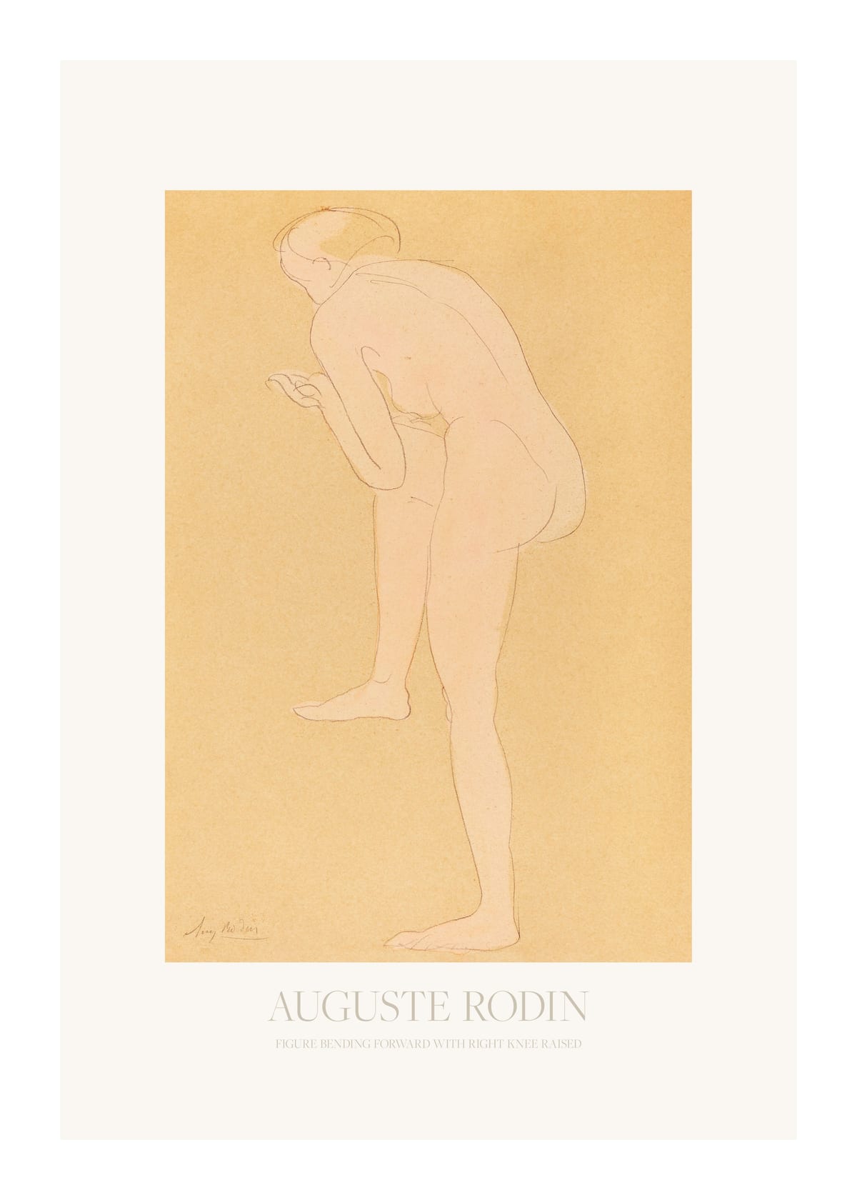 variant-50x70_with-margin