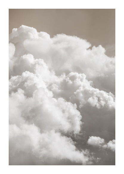 variant-50x70_with-margin