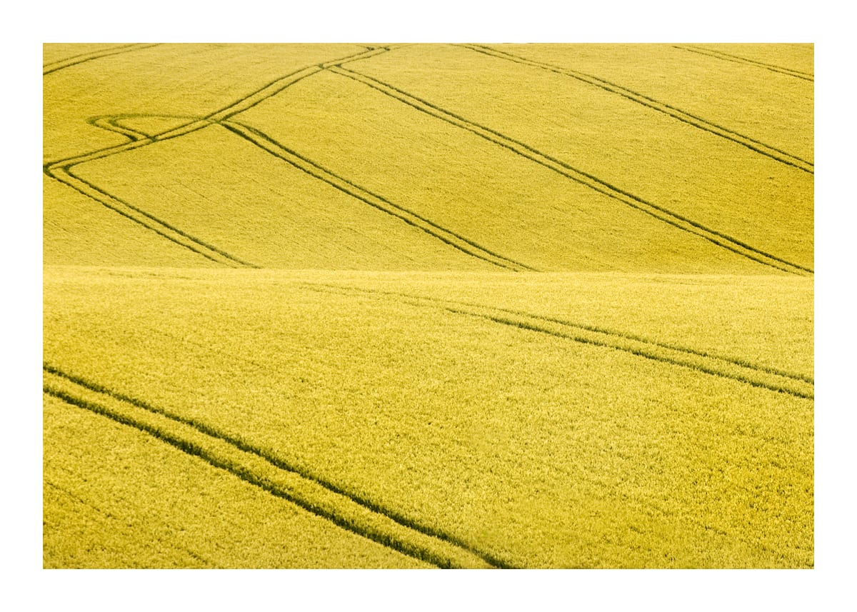 variant-50x70_with-margin