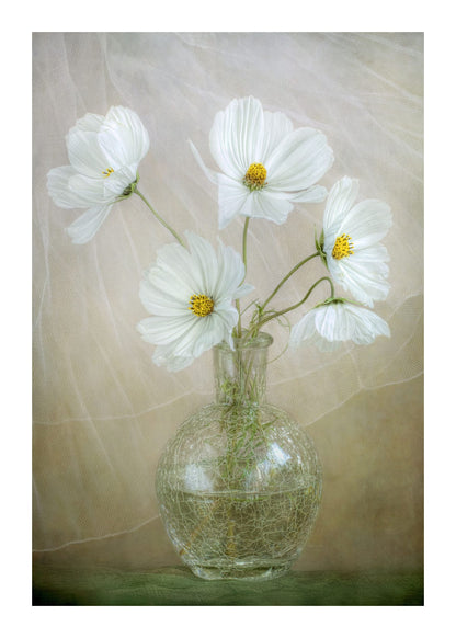 variant-50x70_with-margin