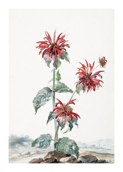variant-50x70_with-margin