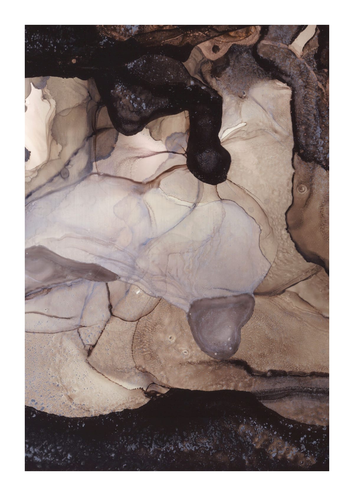 variant-50x70_with-margin