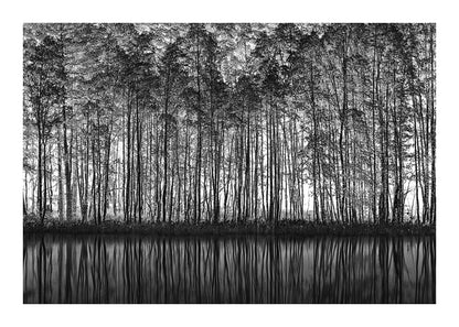 variant-50x70_with-margin