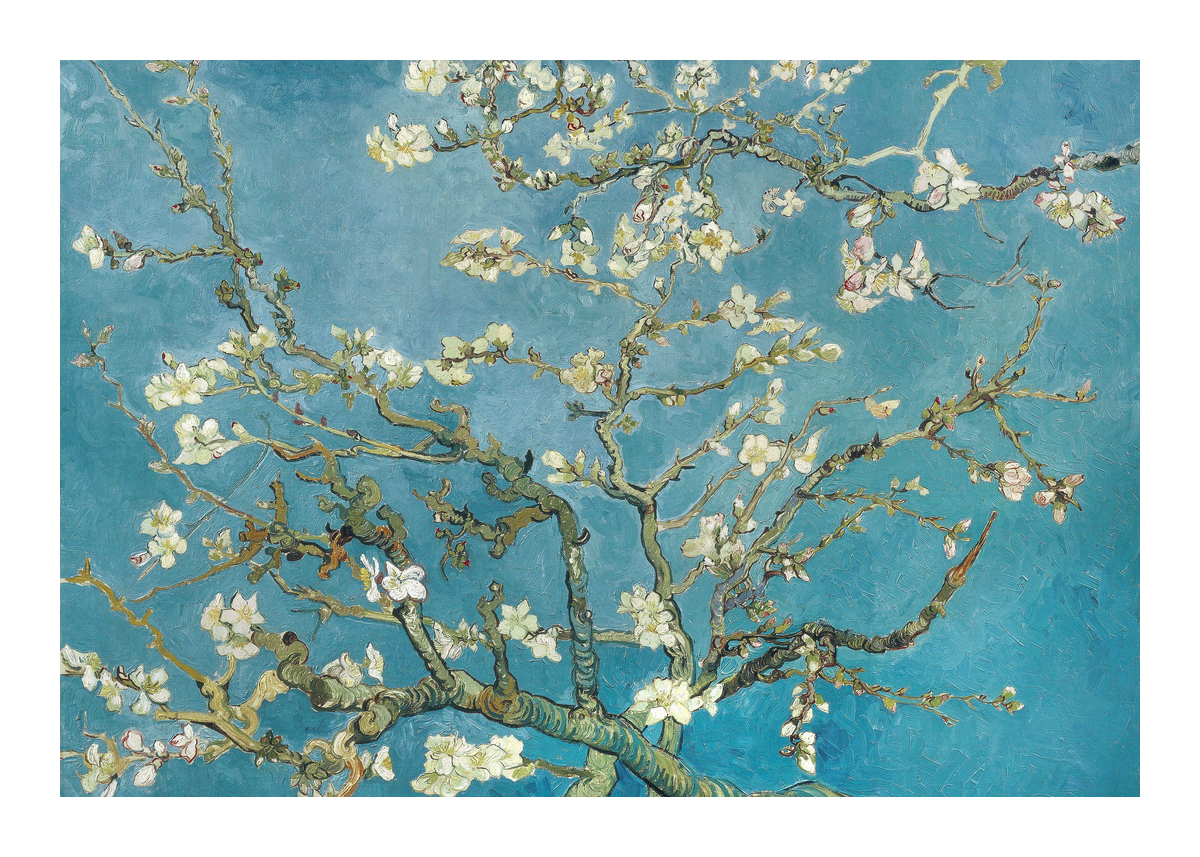 variant-50x70_with-margin
