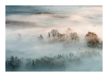 variant-50x70_with-margin