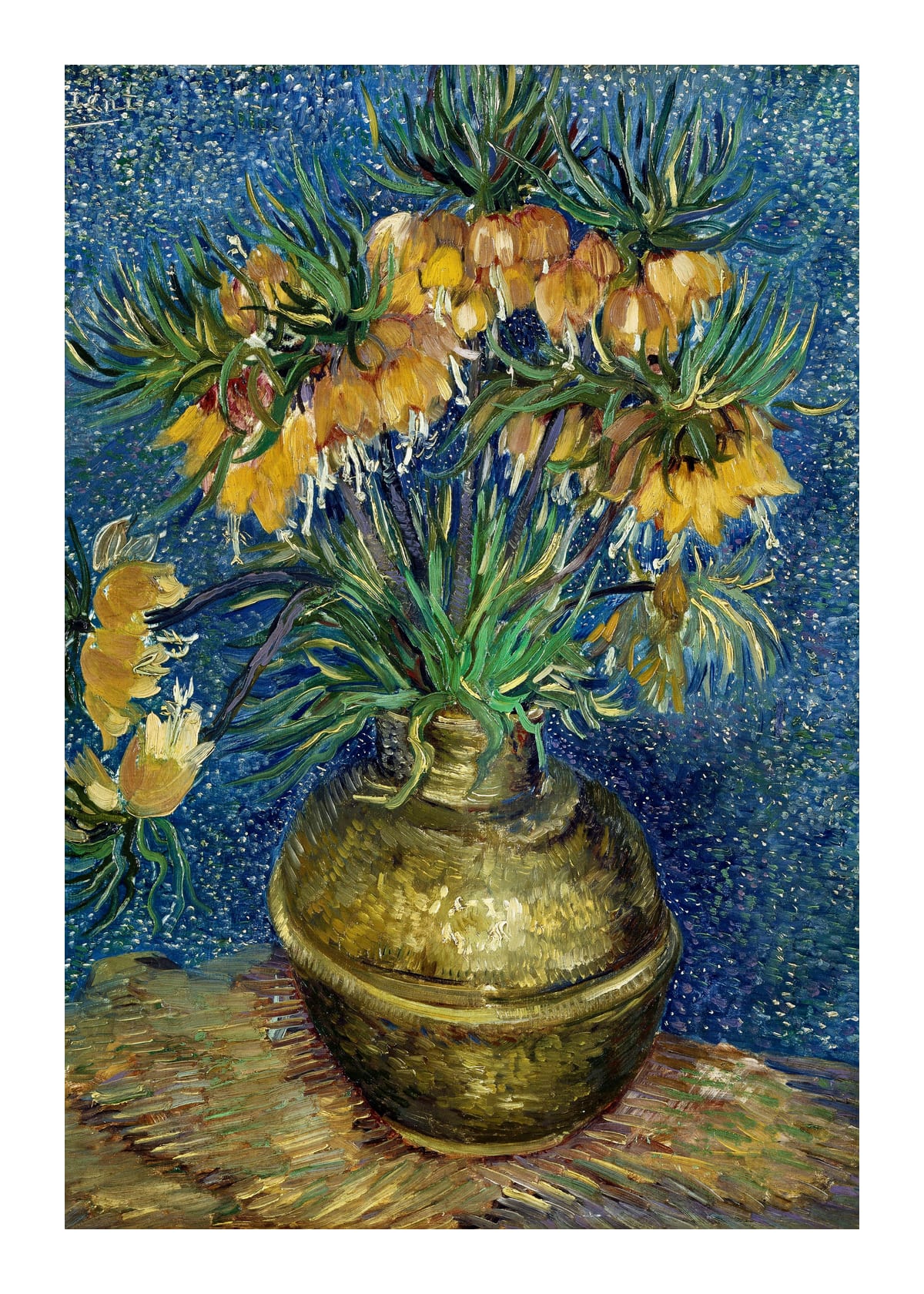 variant-50x70_with-margin
