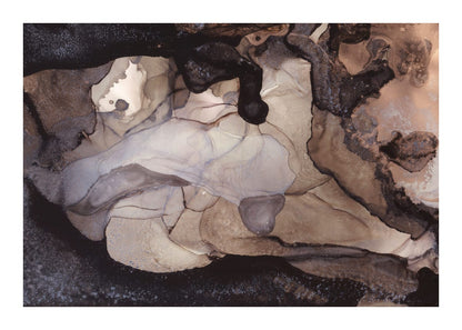 variant-50x70_with-margin