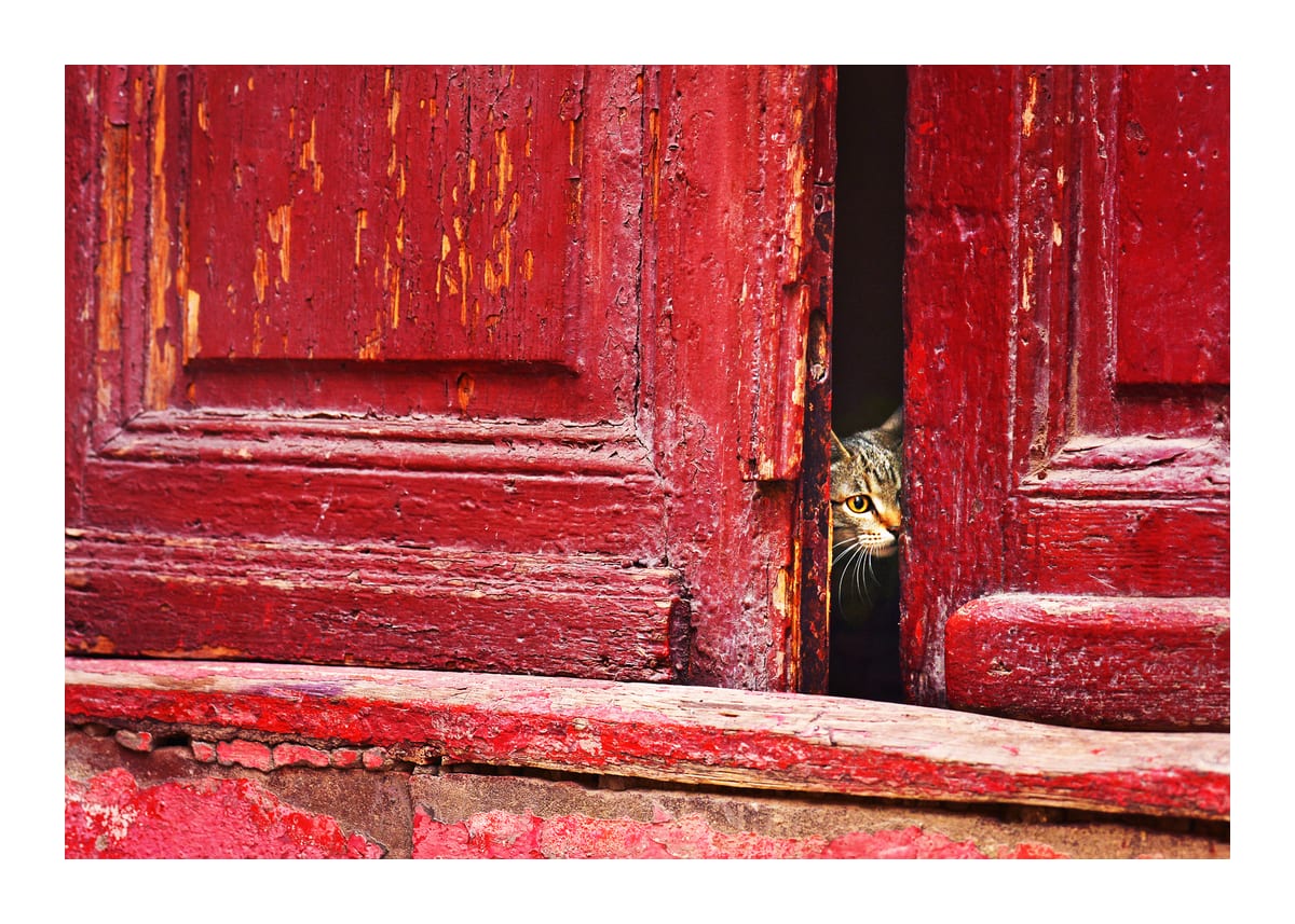 variant-50x70_with-margin