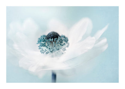 variant-50x70_with-margin