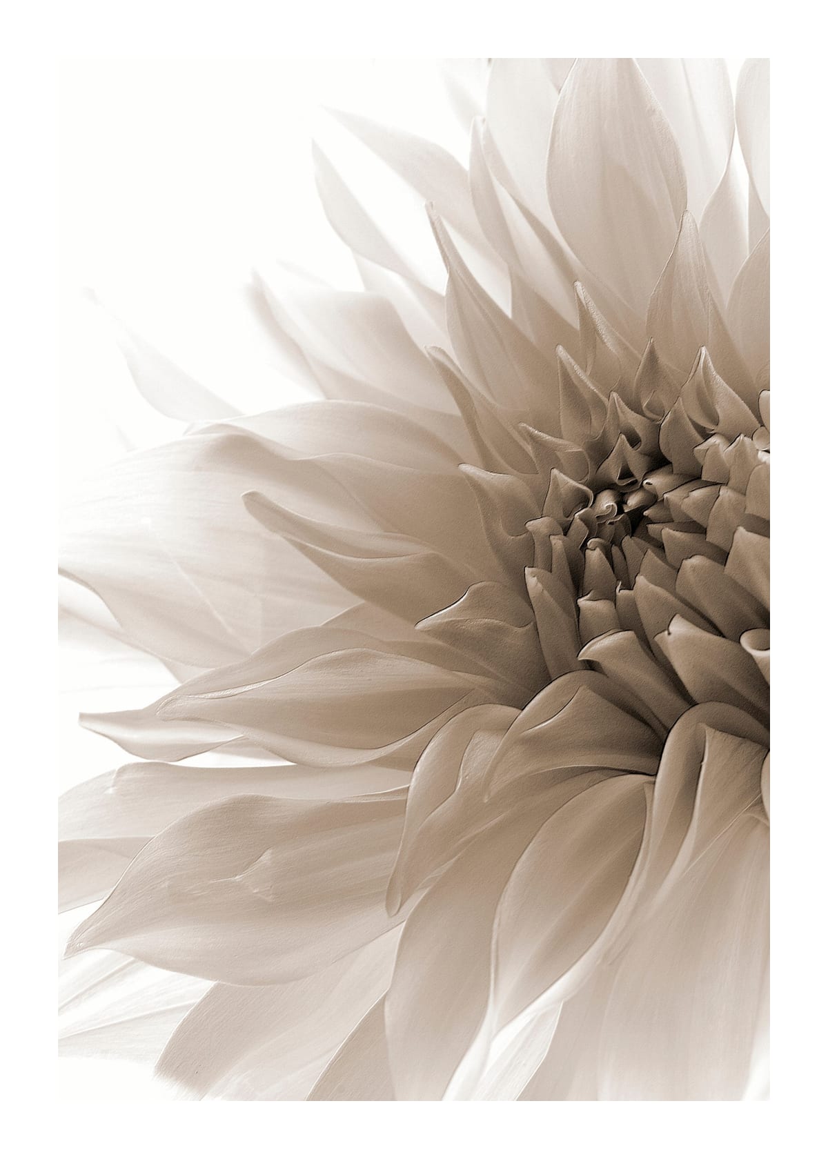 variant-50x70_with-margin