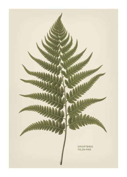 variant-50x70_with-margin