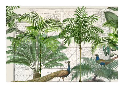 variant-50x70_with-margin