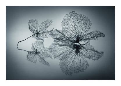 variant-50x70_with-margin