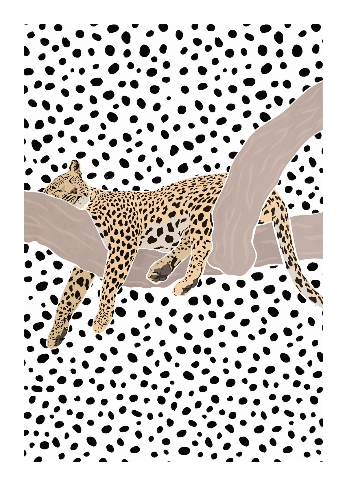 variant-50x70_with-margin