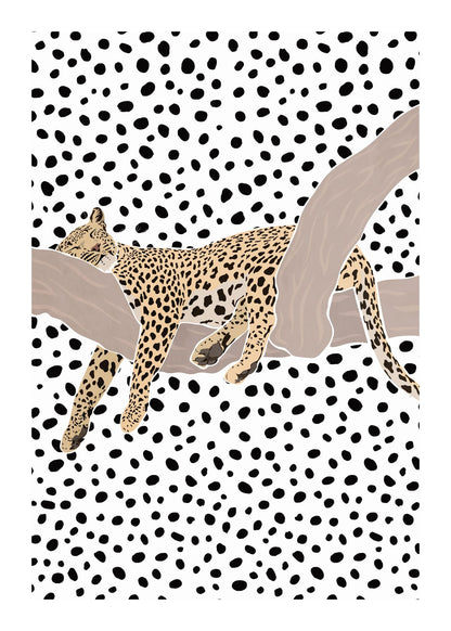 variant-50x70_with-margin