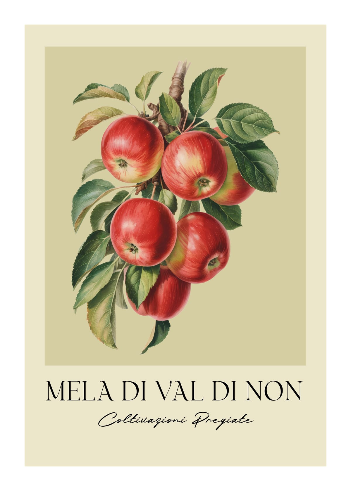 variant-50x70_with-margin