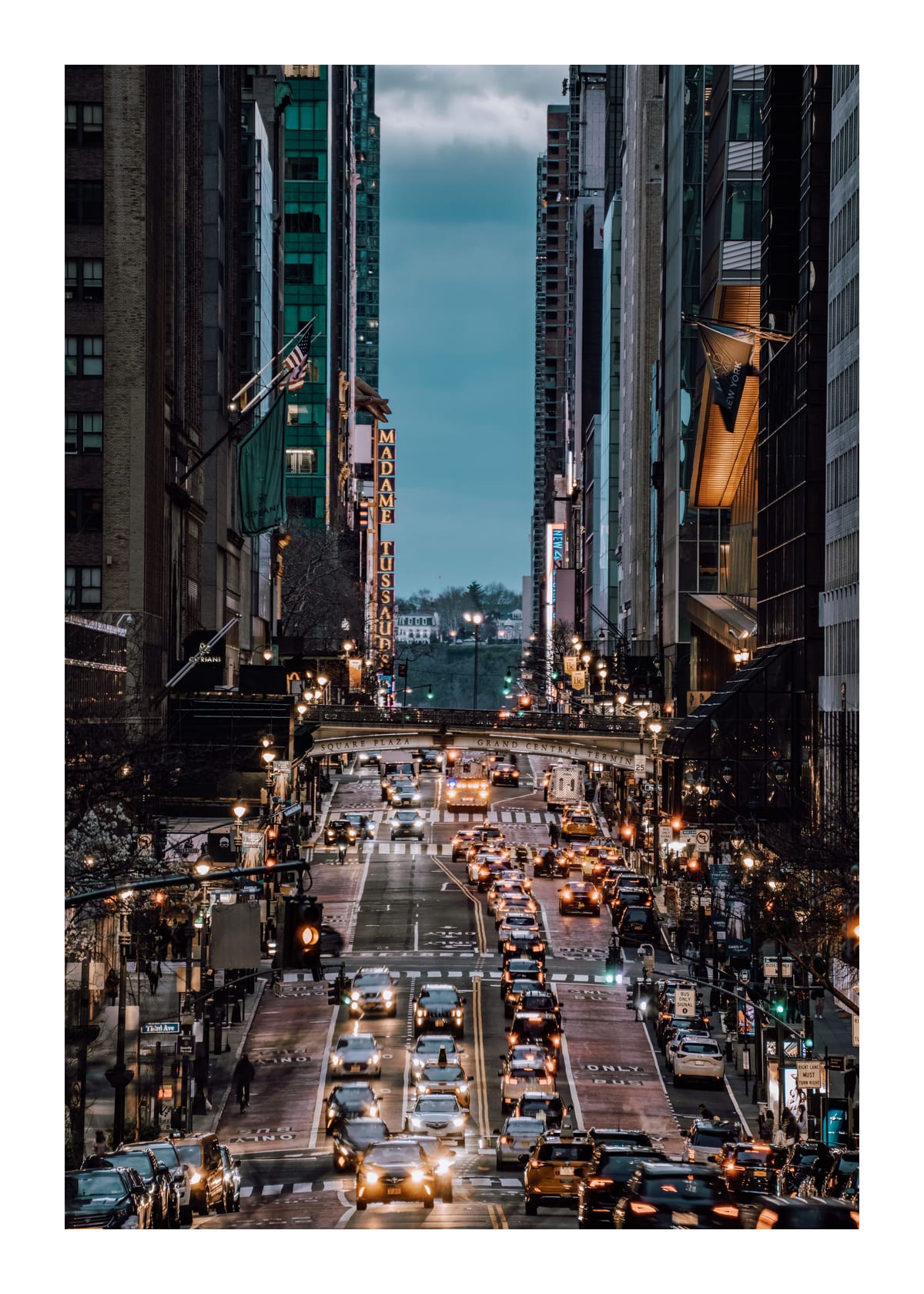 variant-50x70_with-margin