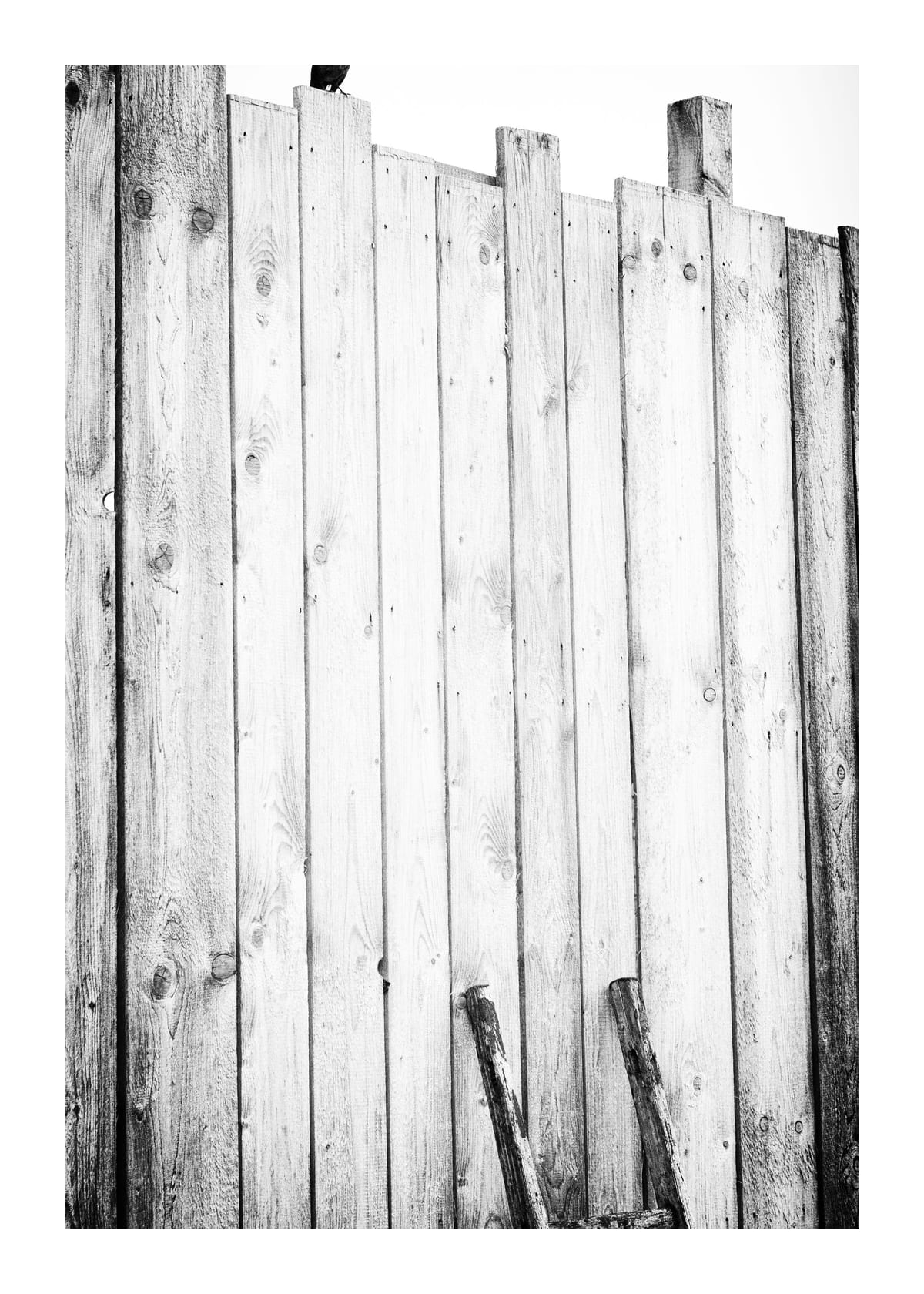 variant-50x70_with-margin