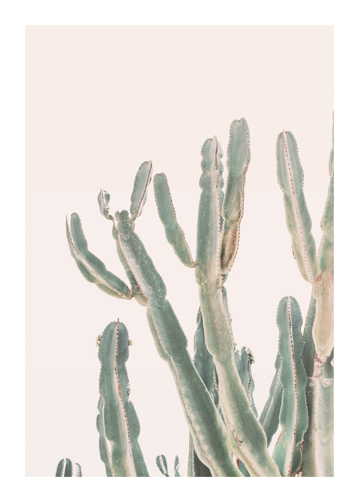 variant-50x70_with-margin