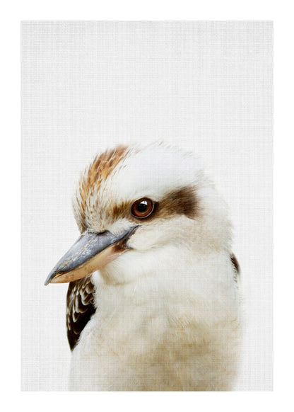 variant-50x70_with-margin