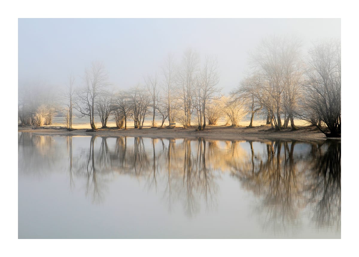 variant-50x70_with-margin